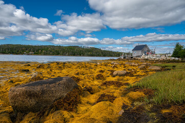 Beautiful alive tide near Peggy's Cove in Nova Scotia
