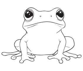 Tom jerry style frog cartoon, Outline frog, Frog colouring page for kids