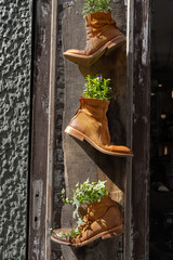 Tres botas de cuero con plantas y flores decorativas en una calle de Lago Como Italia.
