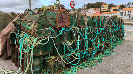 The art of octopus fishing