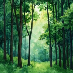 Obraz premium Sunlight Filtering Through Lush Green Forest Canopy