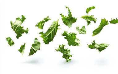 Fresh Green Lettuce Leaves Floating Isolated Generative AI