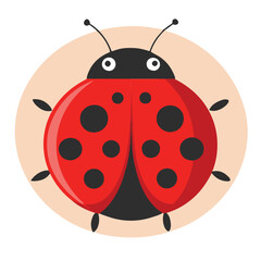 round ladybug with clean lines and shapes on a white background 
