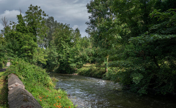 A tranquil scene of the River Fane in County Monaghan, Ireland, featuring flowing water and a lush riparian forest evoking serenity and natural beauty in the Irish countryside