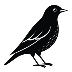 European starling icon - Transparent Background Clipart
