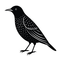 European starling icon - Transparent Background Clipart