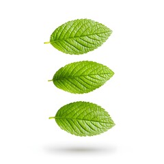 Macro Shot of Levitating Green Leaves on White Background