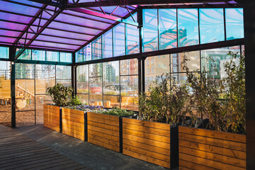 Imagine a charming greenhouse complete with a beautifully vibrant roof that showcases a rainbow of colors, complemented by decorative wooden planters inside, enhancing the overall aesthetic
