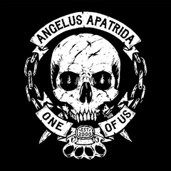 Dynamic Collection of High-Quality Stock Images: Nature, Technology, and Lifestyle Themes