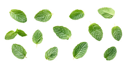 Mint leaves top view, created with Generative AI technology, PNG