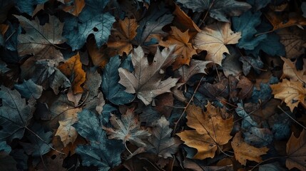 Obraz premium Autumn Leaves on Ground in Cool Tones