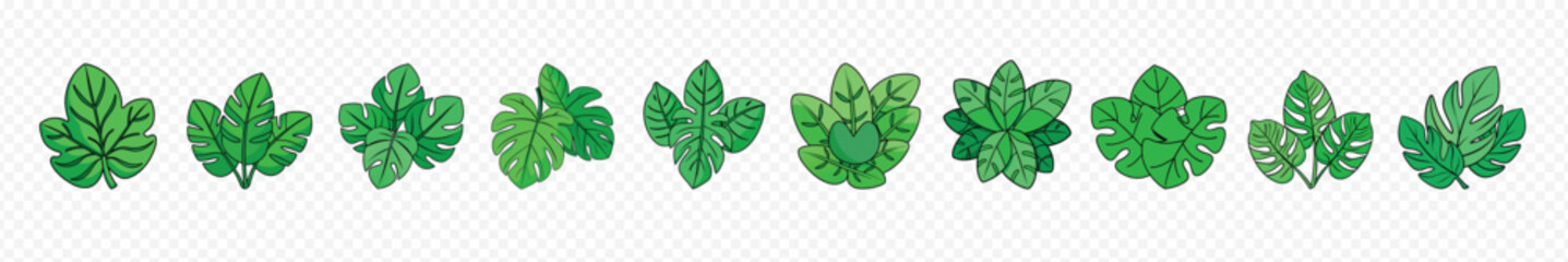 Set tropical or forest leaves, Topical palm leaves over white, 