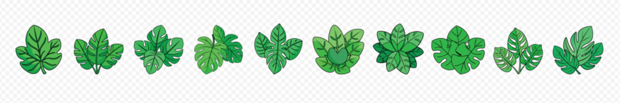 Set tropical or forest leaves, Topical palm leaves over white, 