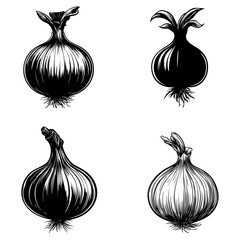 vegetables, editing materials, graphic design needs,