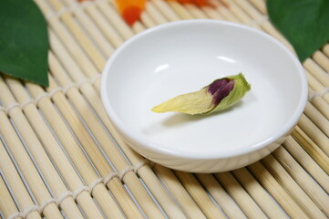 緑葉に包まれたオクラの蕾