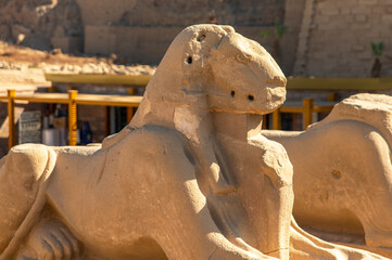 Discover the Guardians of Karnak and unravel the mysteries of the ancient sphinx. Explore the...