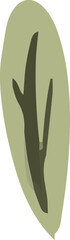 illustration of a green leaf