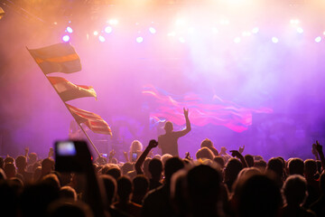 Crowd at concert and blurred stage lights.