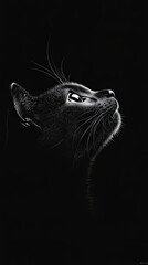 Black Cat Portrait with White Outline and a Single Open Eye