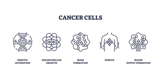 Outline icons set depicting genetic alteration, uncontrolled growth, mass formation, spread, and blood supply formation in cancer cells, outline icons set, transparent background.