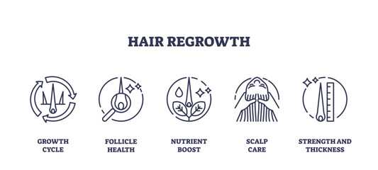 Outline icons set depicting hair regrowth concepts, growth cycle, follicle health, nutrient boost, scalp care, strength and thickness, outline icons set, transparent background.