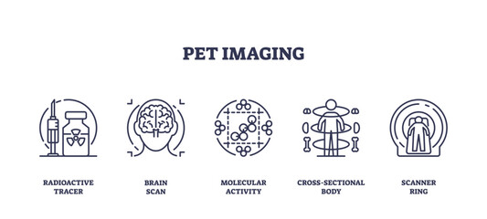 Outline icons set depicting PET imaging concepts, radioactive tracer, brain scan, molecular activity, cross-sectional body, and scanner ring, transparent background. Outline icons set.