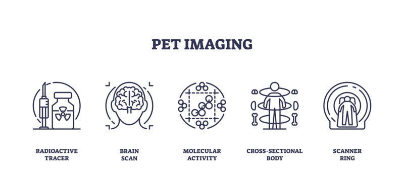 Outline icons set depicting PET imaging concepts, radioactive tracer, brain scan, molecular activity, cross-sectional body, and scanner ring, transparent background. Outline icons set.