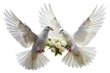 Naklejka premium Wedding doves animal flying white.