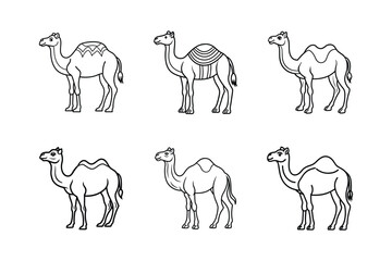 Camel animal line icon set. Camel Black Stroke Linear Icon illustration