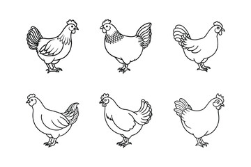 Fototapeta premium Chicken icon set illustration. Chicken icon illustration white background.