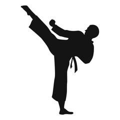 Karate Silhouette Vector