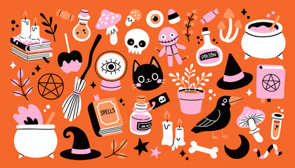Trendy Halloween element set. Witch craft, cat, raven, witch hat, potion and cauldron. For card, sticker, poster