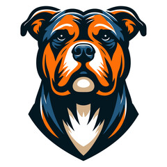 Pitbull vector and illustration.