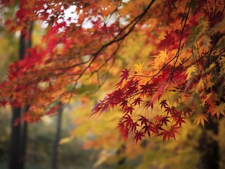 beauty of red and orange maple leaves in autumn. The leaves should be vividly colored, with shades of red, orange, and yellow, highlighting the transition of the season