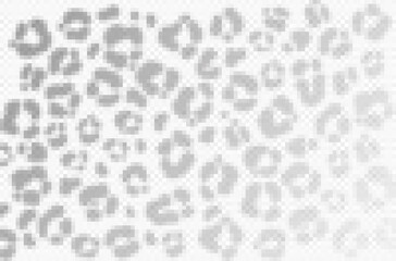 Cheetah texture shadow overlay on transparent background. Leopard skin reflection on wall. Vector realistic illustration. EPS 10.