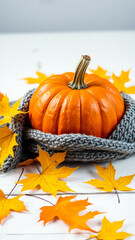 Autumn Pumpkin with Fall Leaves and Knitted Scarf