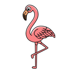 flamingo vector illustration