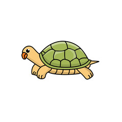 turtle vector illustration