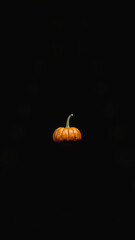 Single Pumpkin on a Black Background