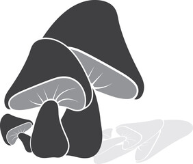 mashroom (chlorophyll) The second edition of Six Steps to Mushroom Farming recognizes that much progress in mushroom farming has taken place over the last 25 years since the original edition was publi