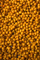 Обліпиха, sea-buckthorn, Облепиха