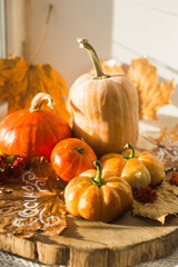 autumn still life with pumpkin