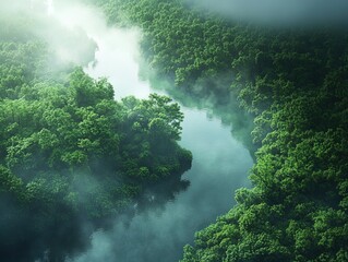 Serene Aerial View of a Winding River Through a Dense Forest: Perfect Poster for Nature-Inspired Sports Interiors with Vibrant Green Foliage and Mystical Mist