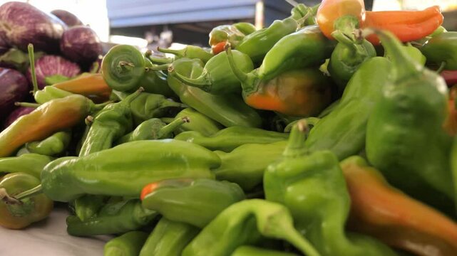 A vibrant display of fresh frigitelli at an Italian outdoor market stall, highlighting Italy's rich culinary culture and tradition of quality produce.