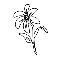 Monoline Flower Hand Drawn Illustration Elements Vector