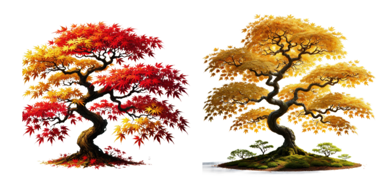 Vibrant Autumn Trees Clipart, Colorful Maple Trees with Red and Yellow Leaves, Sublimation PNG, Fall Decor, Nature Illustration, Digital Download