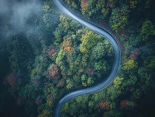 Scenic Autumn Bike Trail: A Stunning Bird's-eye View for Your Sports Interior - Vibrant Foliage in Red, Orange, and Yellow Beneath a Bright Blue Sky