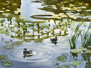 Two ducks in the pond watercolor background
