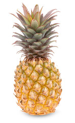 Ripe pineapple on white background