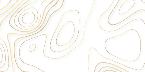 Abstract lines background. Contour maps. Vector illustration. The stylized height of the topographic map contour in lines and contours isolated on transparent. technology topo landscape grid map text
